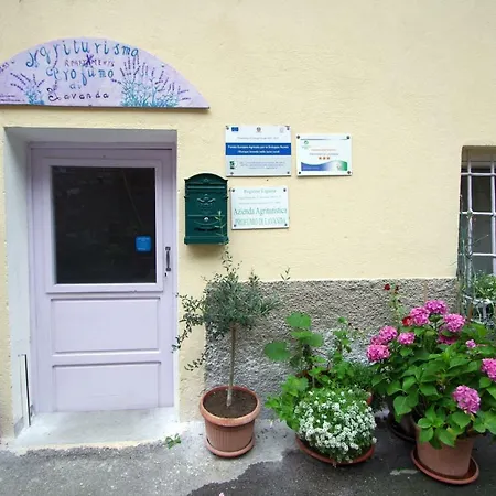 مزرعة للإقامة Agriturismo Profumo Di Lavanda Nasino