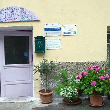 Agriturismo Profumo Di Lavanda Nasino